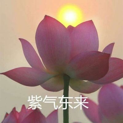 伊朗开始对部分通过霍尔木兹海峡的船只收取过境费以保障安全通行